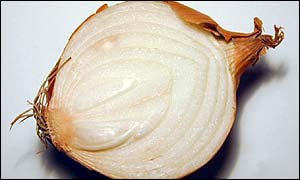 an onion