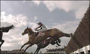 Tony McCoy rides Mr Mulligan to victory in the Gold Cup