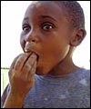 Jacob Muzimba, a pupil at a school in rural Chikono, eats wild fruit 