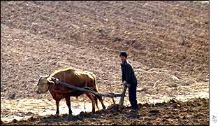 Young farmer ploughing a field