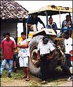 Amazon forest-clearing workers