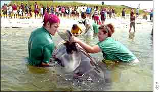 Cape Cod, off the coast of Massachusetts 