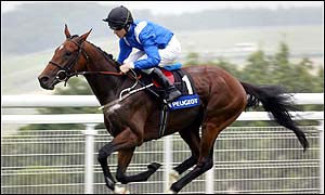 Bandari was 15-8 for the Gordon Stakes