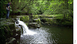 The pool beneath Scwd y Gladys Falls near Glynneath