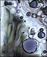 Meteorites held cosmic ray clues