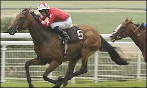 The early pace had been set by Rock of Gibraltar's stablemate Sahara Desert, who led by as much as four lengths at the halfway stage