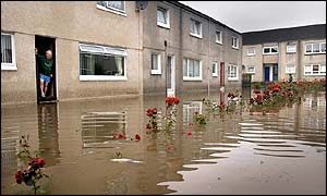 Flowers under water in Glasgow