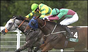Takes Tutu (number 14) wins the Stanley Racing Stakes