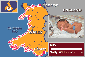 Sally Williams' route