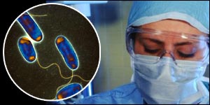 Legionella bacteria and health worker
