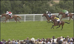 Looking Down comes in first at 8-1