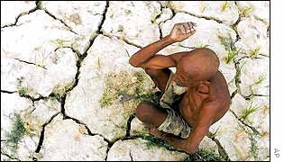 Farmer on drought stricken land