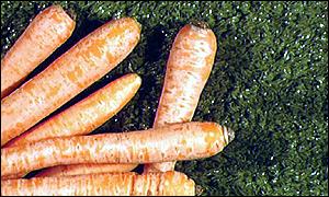 Campaigners want pesticide-free food