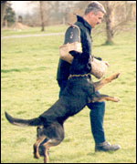 Jake and dog handler