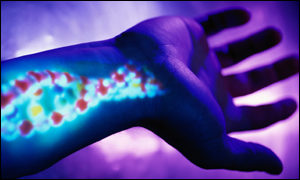 arm dna