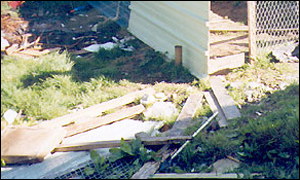 Garden in which dog was found