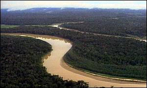 The Amazon in Brazil