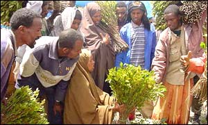Khat traders