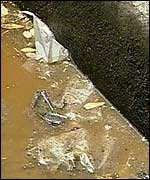 A gutter in New York