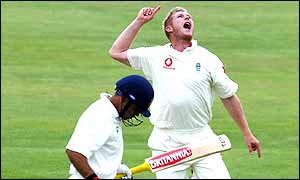 Matthew Hoggard celebrates taking the wicket of Virender Sehwag