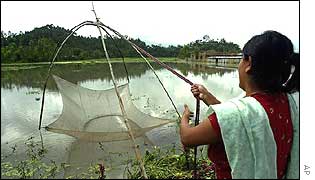 Indian woman trying to fish in the floodwaters in Imphal