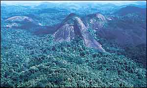 Aerial view of the Tumucumaque mountains (Kitt Nascimento/WWW-Brazil)