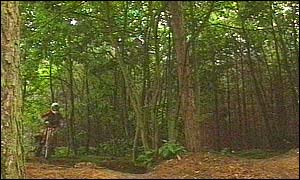 Biker in woodland