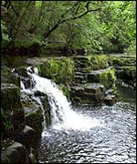 The pool beneath Scwd y Gladys Falls near Glynneath
