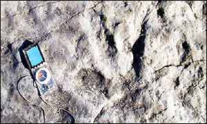 Dinosaur footprint, thought to be left by a megalosarous