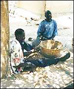 Senegalese peanut farmers