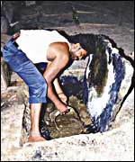 Dalit digs out raw sewage by hand