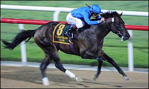 Street Cry in action in Dubai