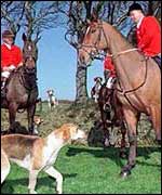 Fox hunting