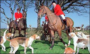 Fox hunting