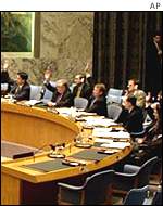 United Nations Security Council