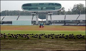Turf being lifted at Lord's