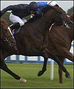 Mick Kinane and Hawk Wing are edged out by Grandera (left)