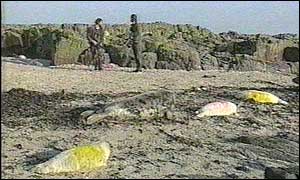 Officers on the Lincolnshire coast