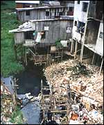Slum in Manaus