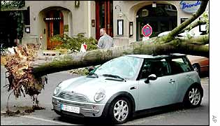Tree fallen on car in Berlin