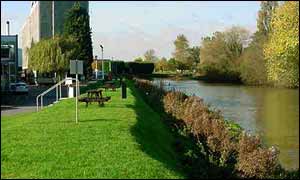 Grass-covered embankment on the river's edge