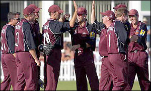 Somerset celebrate