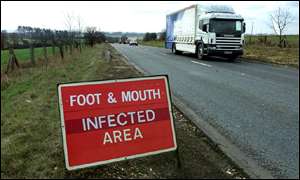 Foot-and-mouth sign