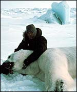 Man on ice with recumbent bear NOAA