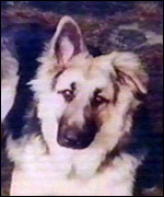 One of the O'Malley's dogs