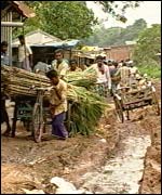 Muddy road in Bangladesh