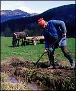 Man works on irrigation system BBC Elvis
