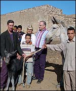 The Moroccan mule and its foal (Spana)