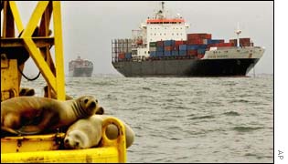 Sealions on a buoy with a laden ship in the background