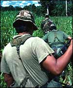 Soldiers patrol crop plantations, looking for coca